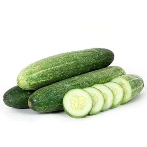 Fresh Cucumber