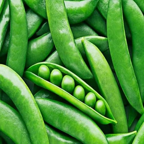 Fresh Green Peas