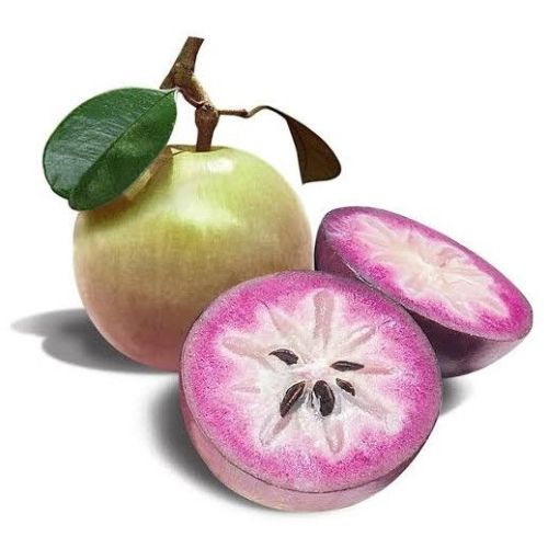 Fresh Star Apple