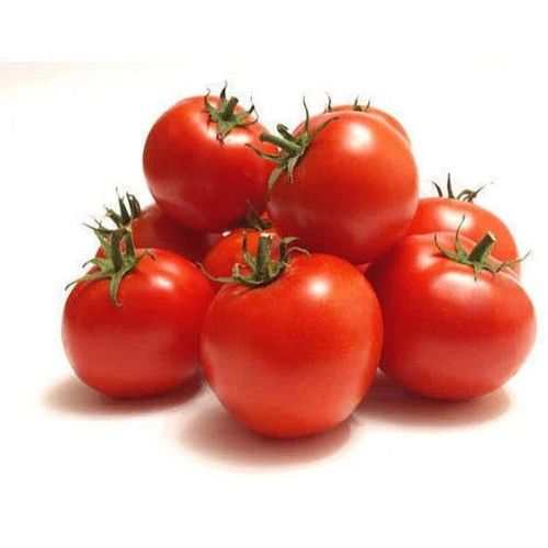 Fresh Tomato