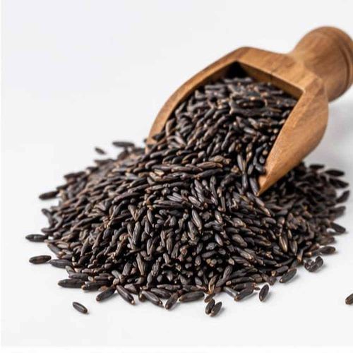 High Yield Black Paddy Seed
