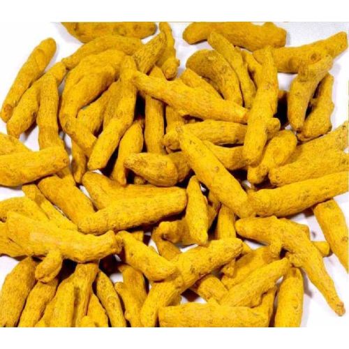 Rajapuri Turmeric Finger