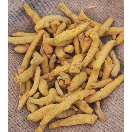 Sangli Turmeric Finger