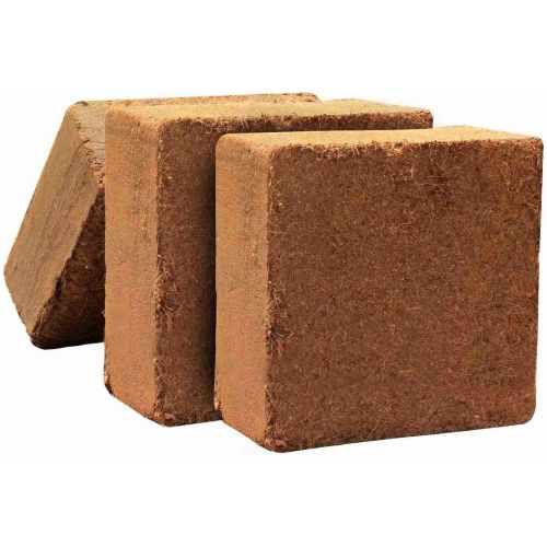 Coco Peat Bricks