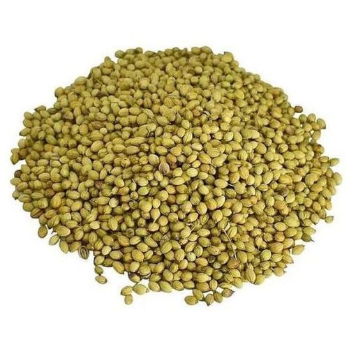 Coriander Seeds