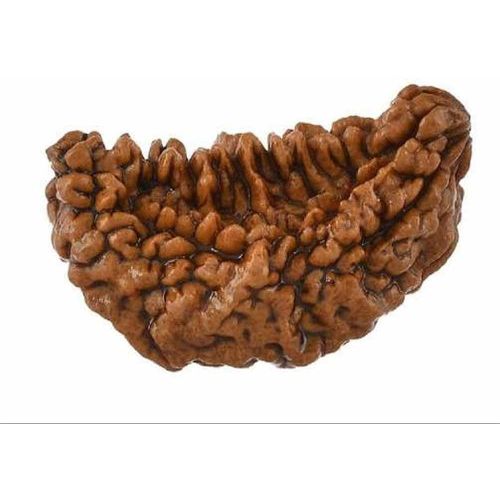 Rudraksha Beads