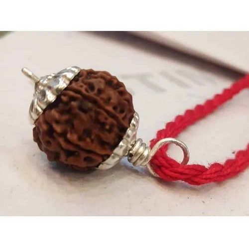 8 Mukhi Rudraksha Bead