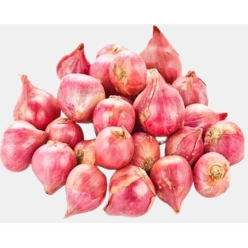 Fresh Pink Onion