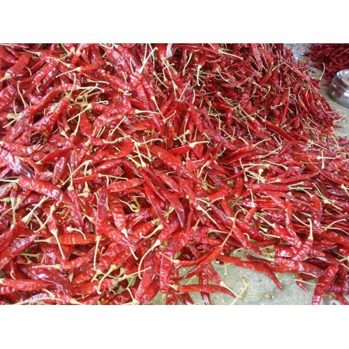S4 Sannam Guntur Dry Red Chilli