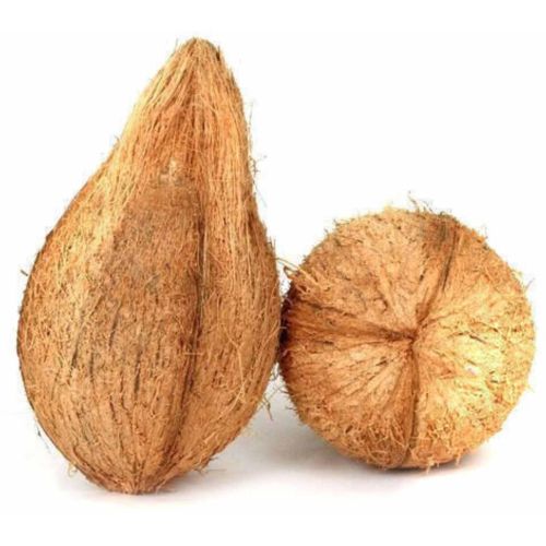 Semi Husked Coconut
