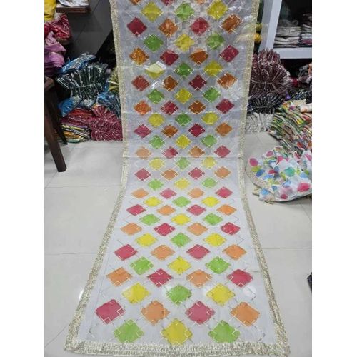Nylon Organza Four Side Brush Print Dupatta