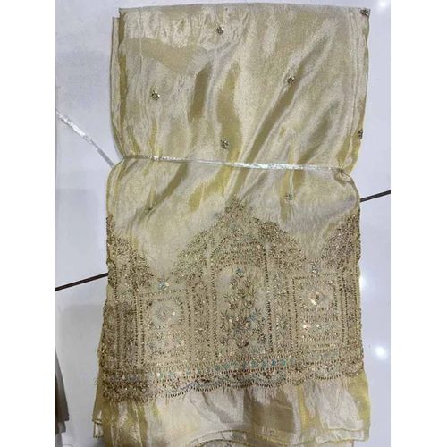 Tissue Shimmer Semi-Beats Zari Daman Embroidery Fabric