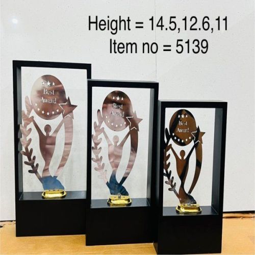 Premium Acrylic Victory Frame Trophy Set