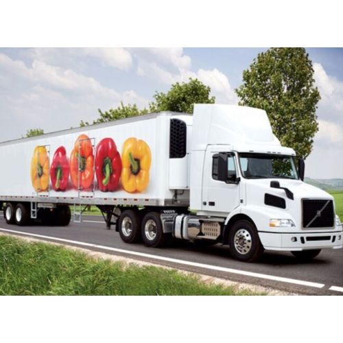 Cold Chain Logistics Services