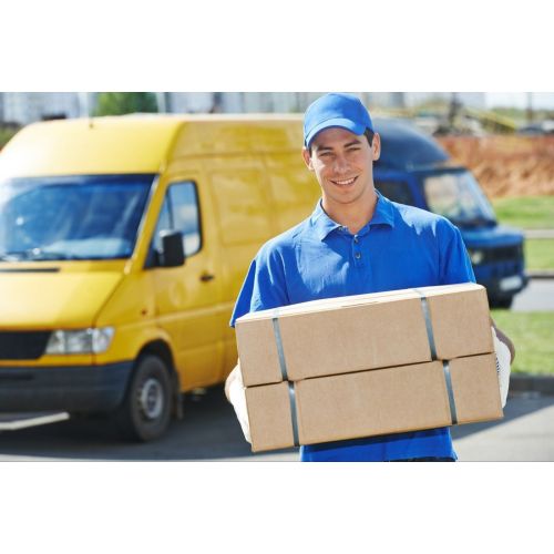 Domestic Courier Services