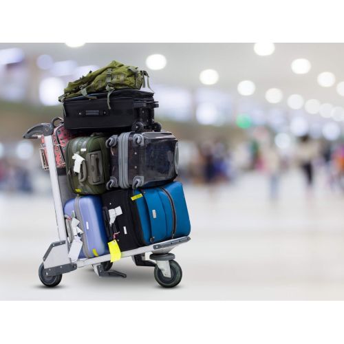 Excess Baggage Shipping Services