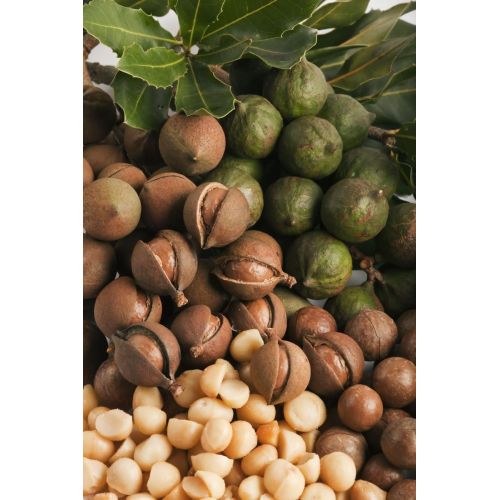 Macadamia Products