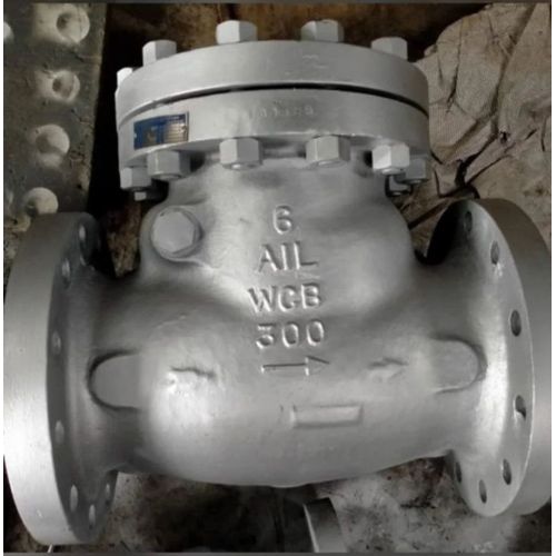 Audco Wcb Flanged Non Return Valve