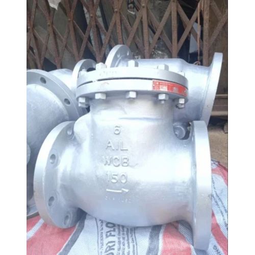 Cast Iron Flanged Swing Check Valve