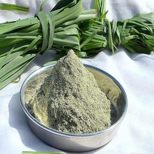 Dehydrated Lemon Grass Powder