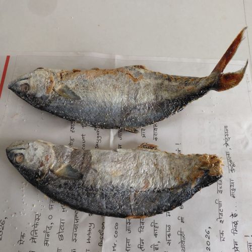Dried Silver Fish