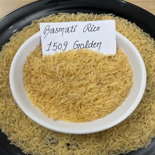 1509 Basmati Rice