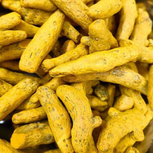Salem Turmeric Finger