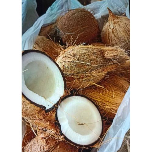 Fresh Farm Harvested Mature Coconut