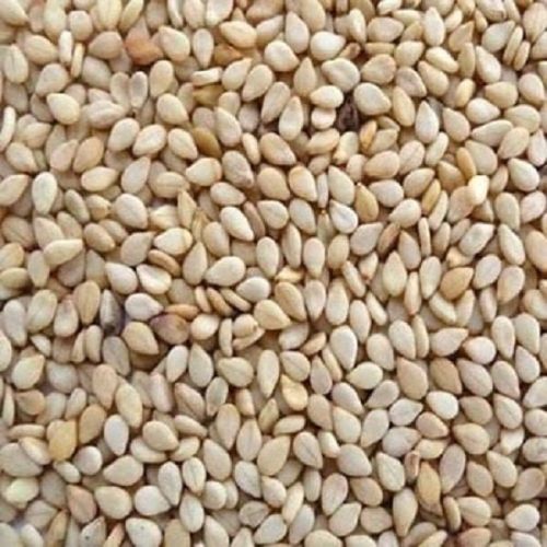 White Sesame Seeds
