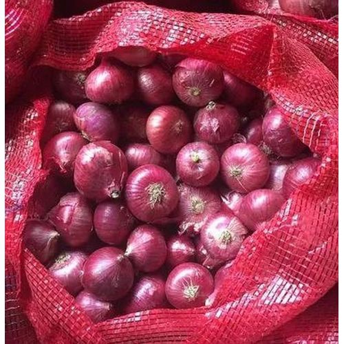 25mm Fresh Red Onion