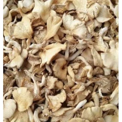 A Grade Dried Oyster Mushroom