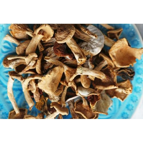 Dehydrated Oyster Mushroom