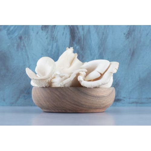 Fresh Oyster Mushroom Collection