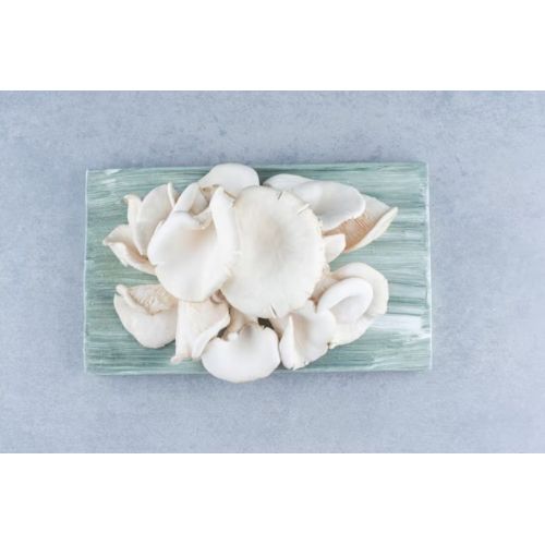 Handpicked White Oyster Farm Mushrooms