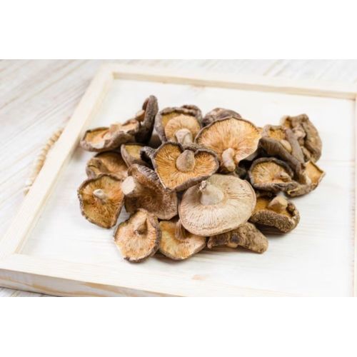 Naturally Dehydrated Oyster Mushroom Slices