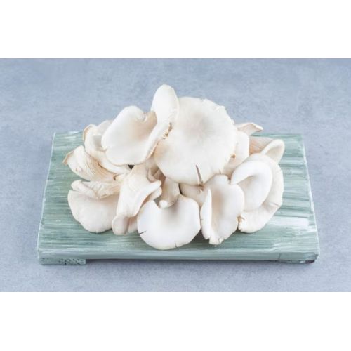 Naturally Grown White Oyster Mushrooms