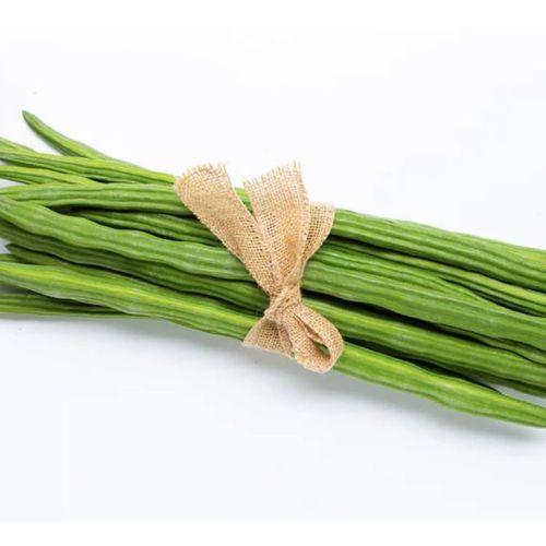 Moringa Oleifera Fresh Drumsticks
