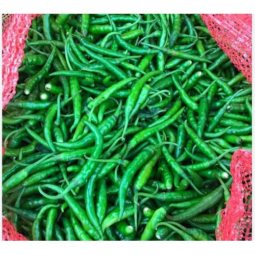 Fresh Green Chilli