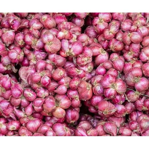 Fresh Small Onions