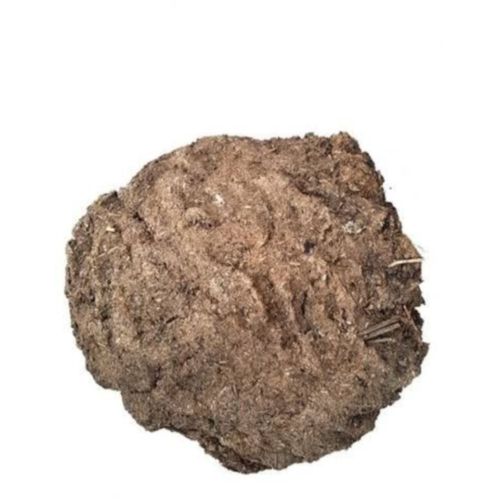Gomaya Cow Dung Cakes