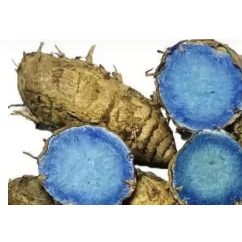 Organic Black Turmeric Finger