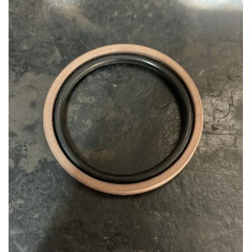 PTFE Piston Seal