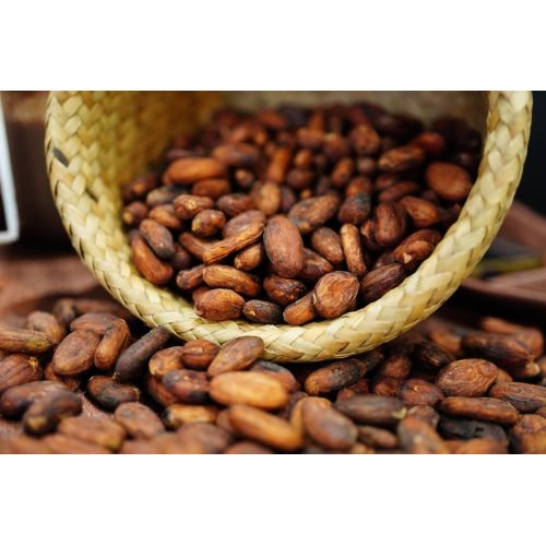 Export Quality Cocoa Beans