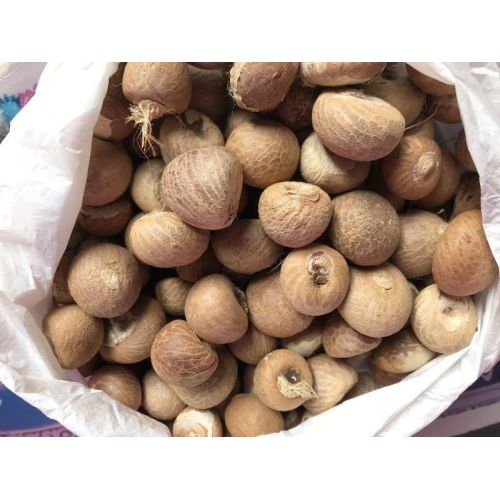 Natural Whole Arecanut