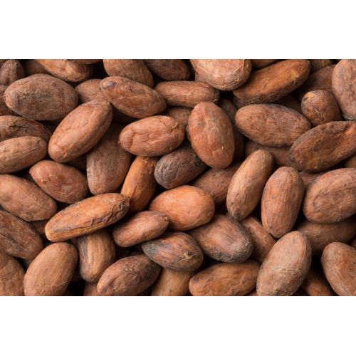 High Quality Cocoa Beans