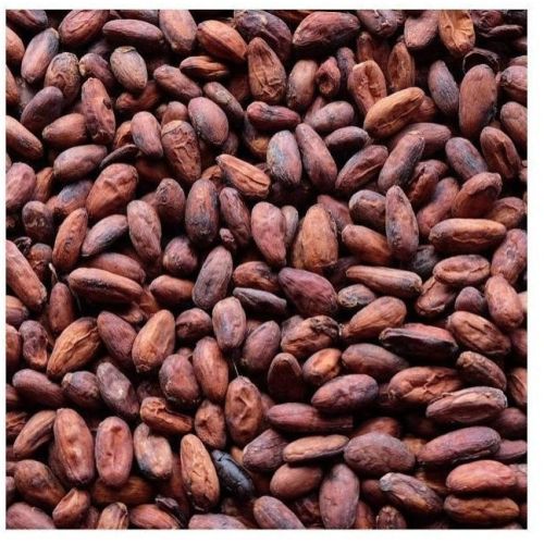 Natural Dried Cocoa Beans
