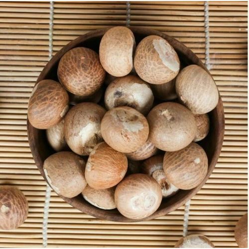 Processed White Arecanut Nuts