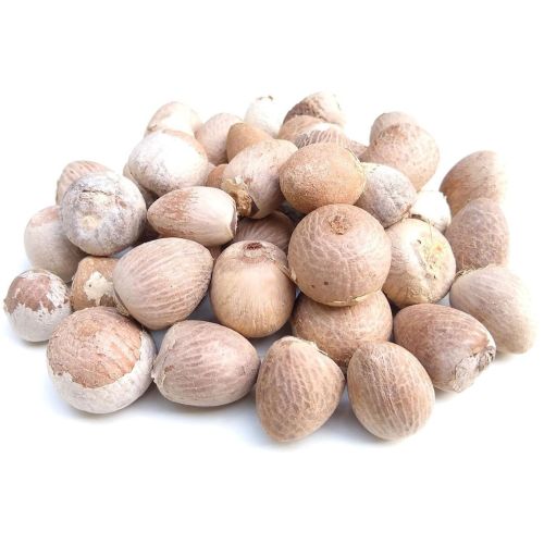 Selected White Betel Nuts