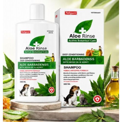 PET Shampoo