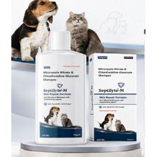 Septilyte M PET Shampoo